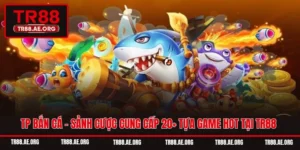 TP Bắn Cá - Sảnh Cược Cung Cấp 20+ Tựa Game Hot Tại TR88